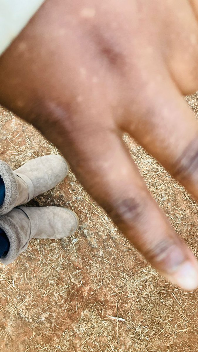 Sam52307662's tweet photo. Happy Environment Day 💚🤎🪴💦
#LoveEswatini #happyEnvironmentday #cleanliness #lovelydayforaguinness https://t.co/cAT8N3RerS