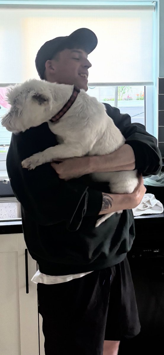 sandraroche1973's tweet photo. Yay 🙌 hoobro was in Toronto visiting me other hoobro so we had to collect him from de airport.. he found a really cool doggo shop and bringed me home noms 😋 https://t.co/zQWX0pAOHl