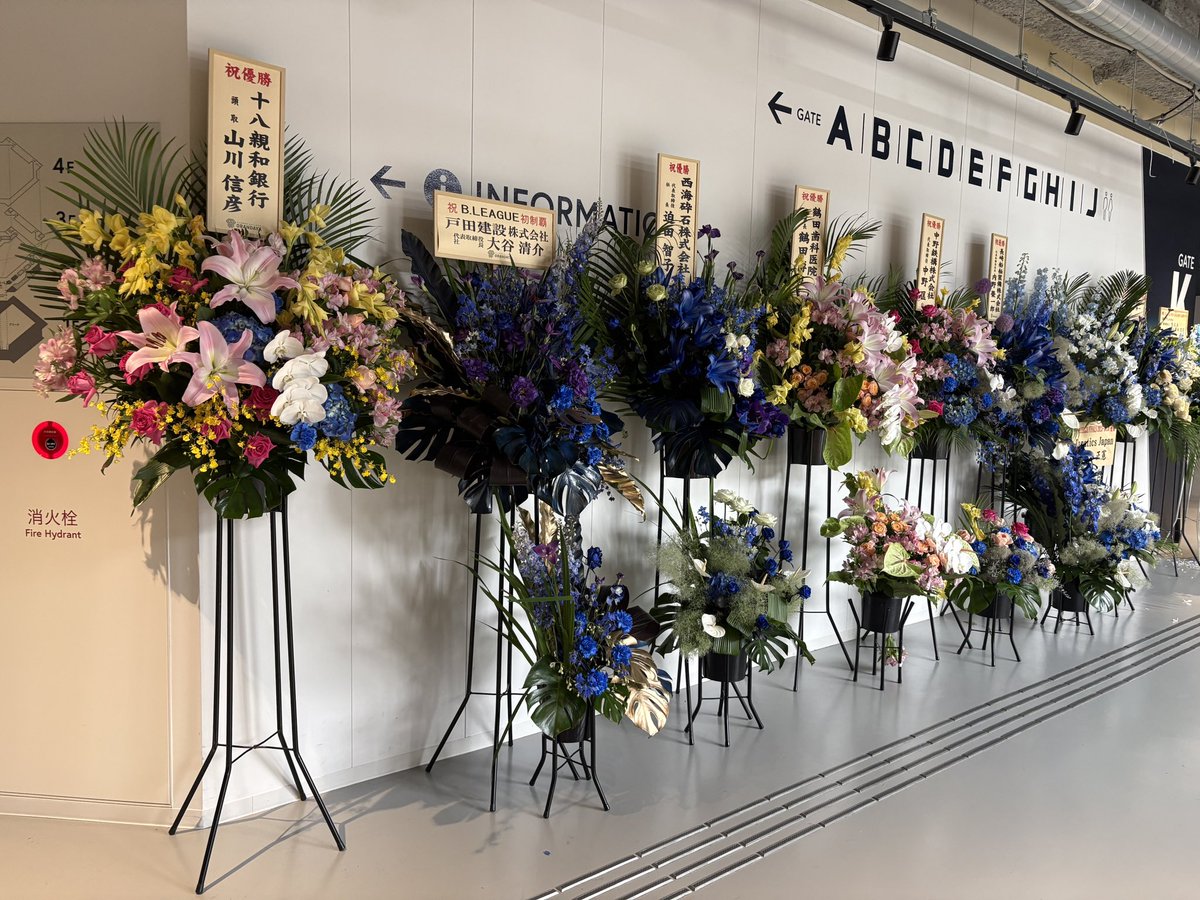 n_velca's tweet photo. チャンピオンシップ優勝に合わせ、たくさんのご関係者様・パートナー企業様よりお祝いのお花をいただきました。お送りいただいた皆様、誠にありがとうございました✨

今シーズンWE THE NAGASAKIで共に戦ったすべての皆様へこの喜びをを分かち合うため、いただいたお花を長崎スタジアムシティへご来場する皆様にお渡しすることになりました💐

時間：6月5日(金)16時～18時　
場所：ハピネスアリーナ前
※なくなり次第終了となります。

先着順で、各自お持ち帰りいただけます。
ラッピングはされておりませんので、お持ち帰り用の袋や包み紙等は各自ご持参をお願いいたします。

#velca #長崎ヴェルカ #WETHENAGASAKI