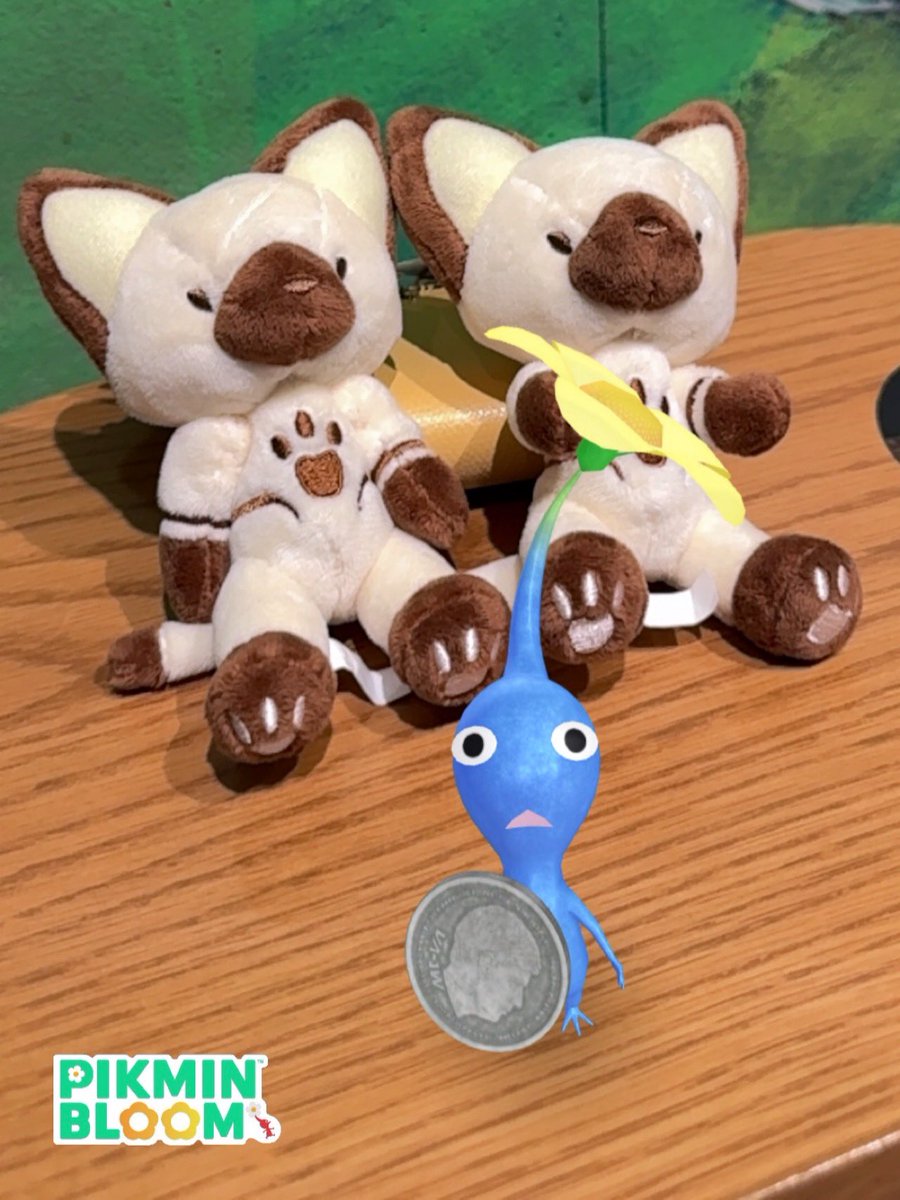 risayuri's tweet photo. ふたごのアイルー。
おともだちにもらわれてくよ。

#ピクミンブルームARフォト部 
#ピクミンブルーム #PikminAR #PikminBloom https://t.co/dRGn7h1ki9
