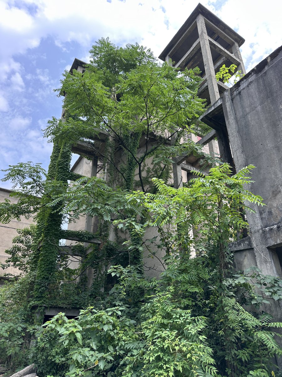 trader0618's tweet photo. 局部细节 https://t.co/BYpfpRG91h