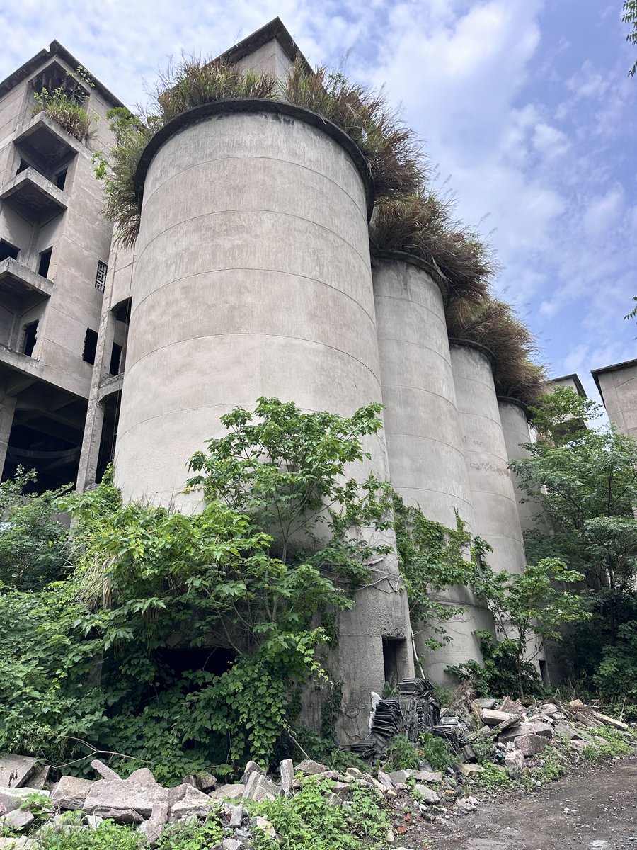 trader0618's tweet photo. 局部细节 https://t.co/BYpfpRG91h