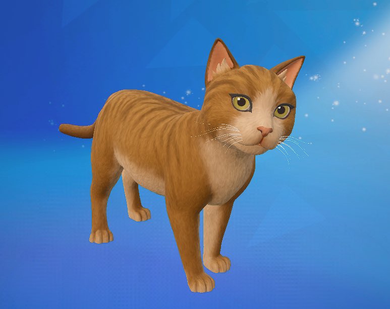mitskination_'s tweet photo. The Tansy Cat is back in the Fortnite Item Shop! https://t.co/aRqsQQpODU