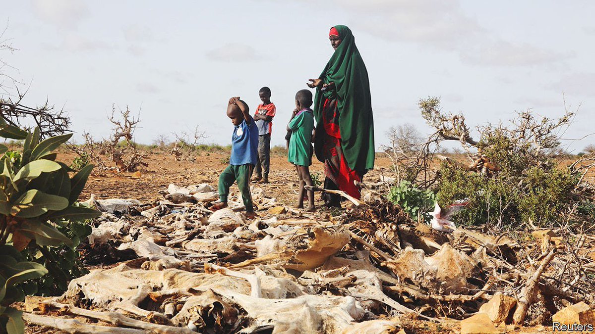 RMX65v's tweet photo. I have always wondered why people from countries in Africa like Somalia, Sudan, Eritrea, etc. choose to live in tents in dry areas but not in areas where there is water and cultivated land. https://t.co/YjuK5b7iBJ