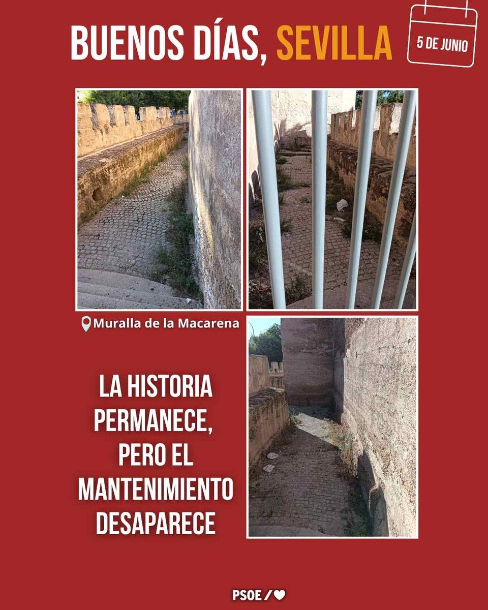 PSOEAytoSevilla's tweet photo. ¿Dónde están los planes de desbroce y limpieza?
Siglos de historia y tres años de abandono.
#SevillaEnMarchaAtrás https://t.co/YdWwOALxZC