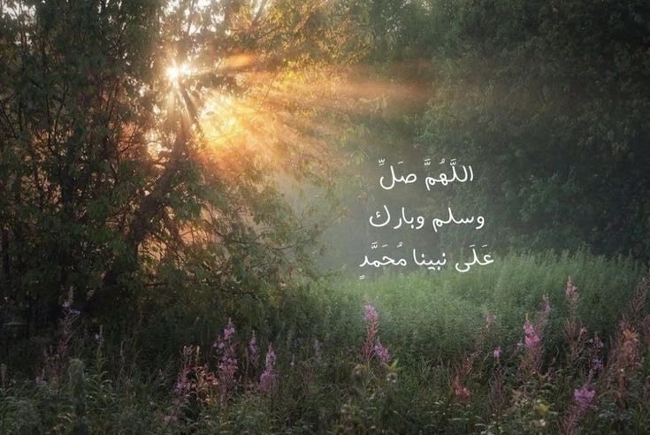 ☀️ tweet media