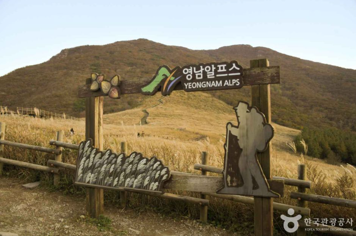 Aurora_5100's tweet photo. “여기가 스위스야, 한국이야?”

초보자도 부담 없이 오를 수 있는 해발 900m 고원.
6월이면 푸른 억새 새순이 초원을 가득 채우고,
끝없이 이어지는 영남알프스 능선이 눈앞에 펼쳐집니다.

왕복 3시간 정도면 만날 수 있는 이 풍경,
과연 어디일까요? https://t.co/4VxyA9KmgO