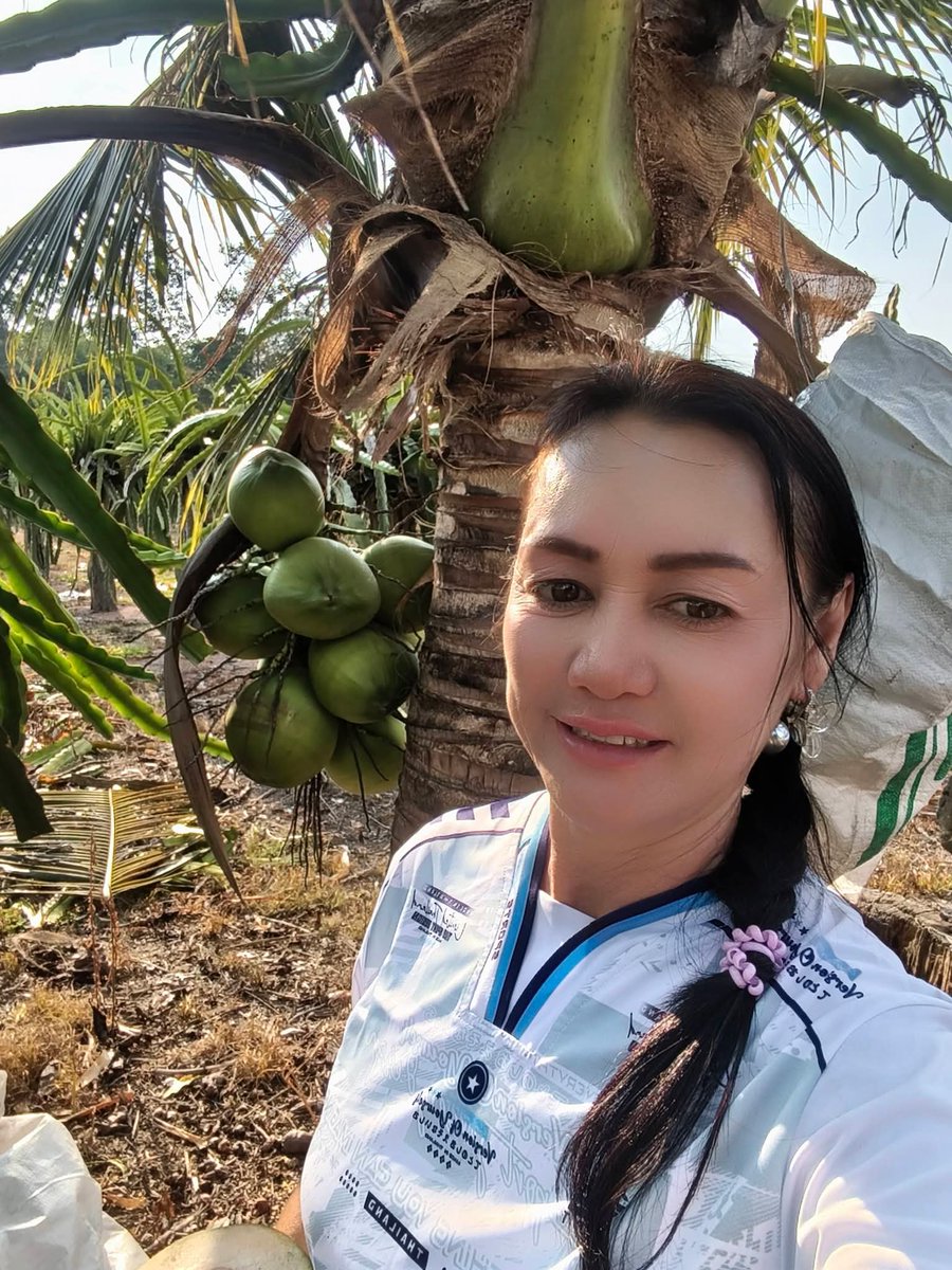 yesyay44's tweet photo. มะพร้าวอ่อนหวาน แต่พี่มันแก่แล้วจะมีใครชิมป่าวคะ https://t.co/TZci96uIf0