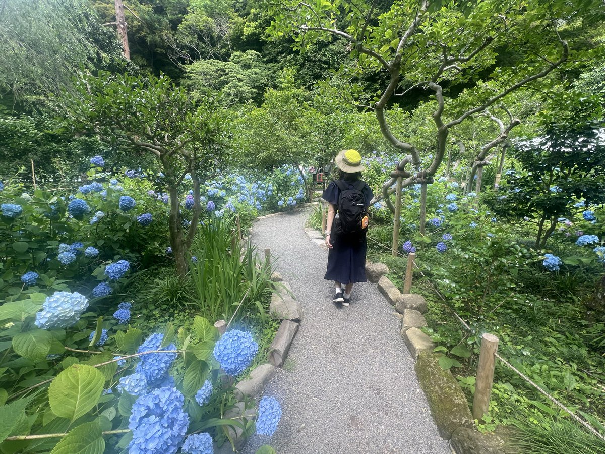 egoism_com's tweet photo. 素敵〜🪷 https://t.co/0w3mZN94sG