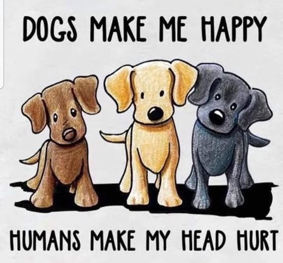 woofknight's tweet photo. https://t.co/hj45mVnBSZ