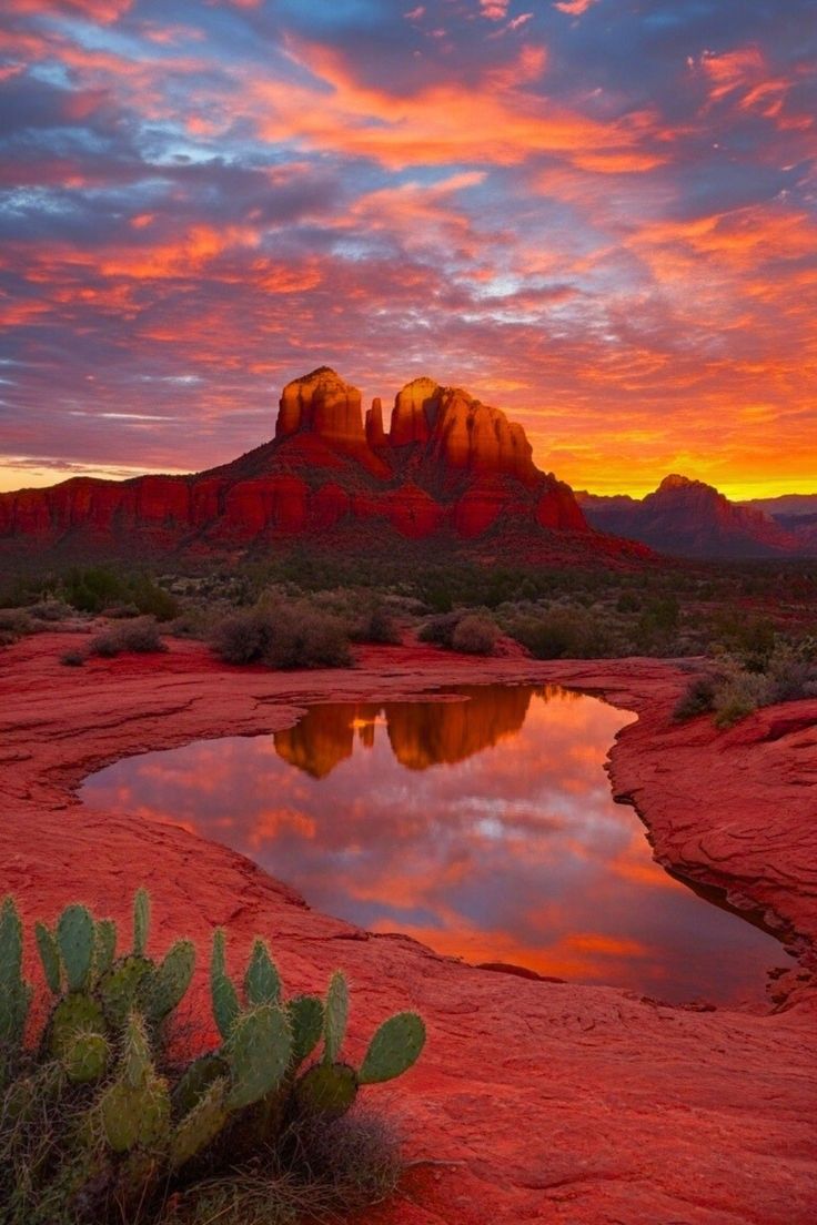 naturepicsc's tweet photo. https://t.co/9IwWd82rj6