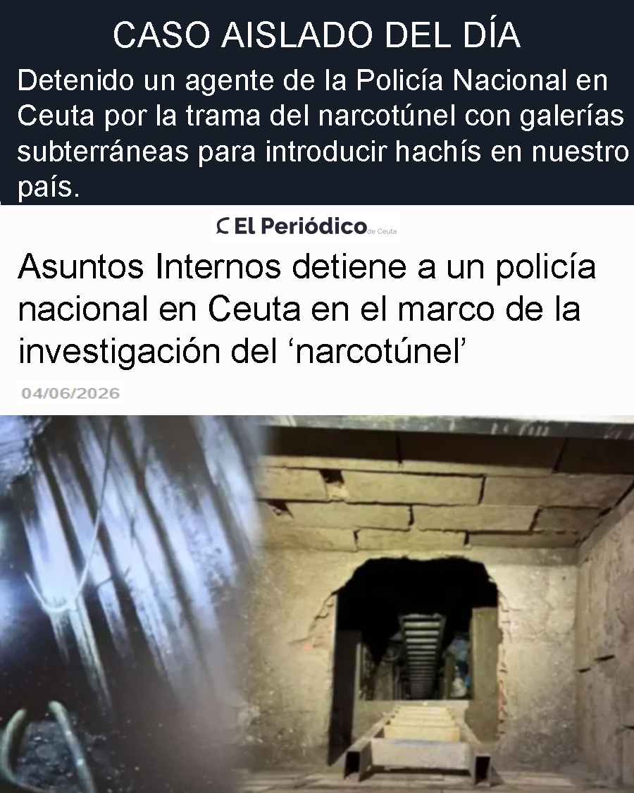 EEspanolisto's tweet photo. Están en todas las salsas.. https://t.co/lJx834Zy6m