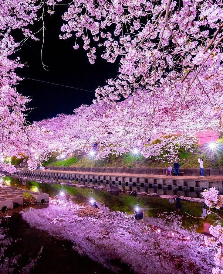 Beauty of Nature. tweet media