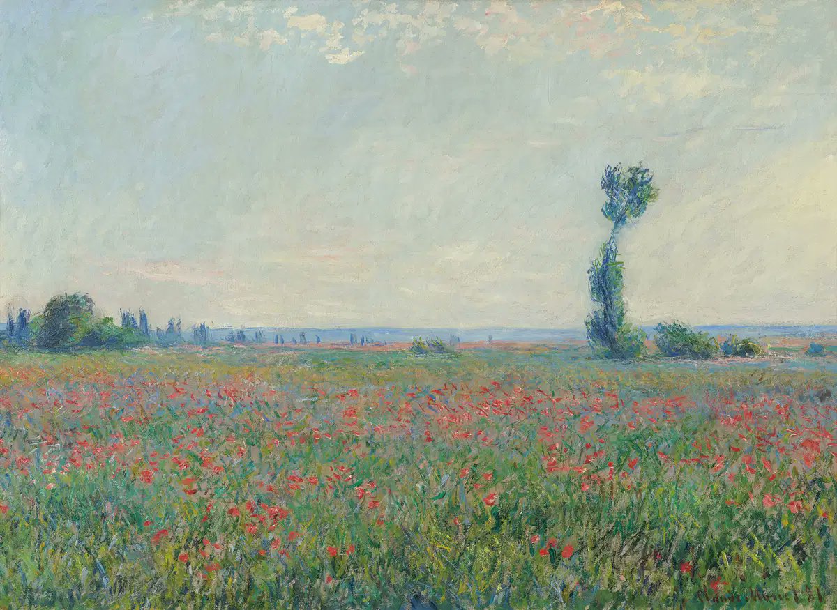 arialuce1's tweet photo. Giugno

Claude Monet https://t.co/XusYKn89Ea