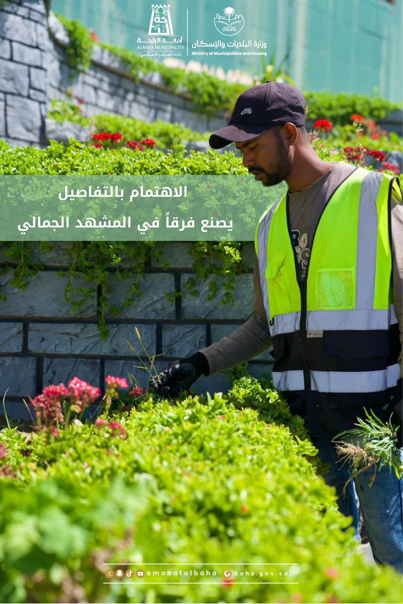 amantalbaha's tweet photo. 🌿 عناية مستمرة بالحدائق والمسطحات الخضراء، واهتمام بالتفاصيل يصنع فرقًا في المشهد الحضري ويعزز جودة الحياة.

#وكالة_الأنسنة_وعمارة_البيئة 
#أمانة_منطقة_الباحة
#وزارة_البلديات_والإسكان https://t.co/dXdMfSh2Fd