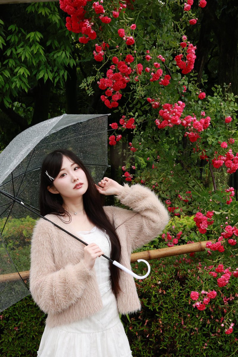 なべまる (@Wn0AoWcBA2ASGlw) / Posts / X