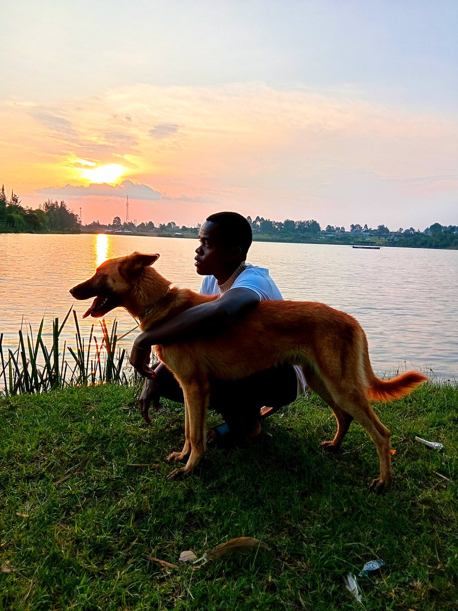 DSmartnumz's tweet photo. "Dogs are not just pets, they are family. They teach us loyalty, bring us smiles every day, and make life softer. With a dog by your side, stress fades and your heart finds peace. Loving dogs is truly loving life ❤️🐾"  
 
Cross breed Germans shepherd &amp; malinois 🤍 
    #kenya https://t.co/e00yMbfLzV