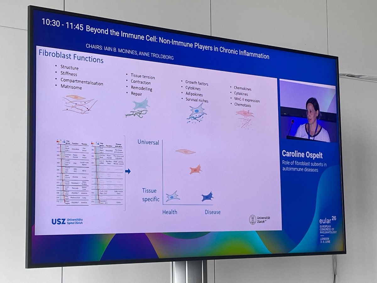 eular_ARD's tweet photo. Periostin-expressing fibroblasts: another kid on the blicknof RA synovium and PsA skin involvement?

Wonderful presentation by @carolineospelt 

#EULAR2026 @javierrcarrio https://t.co/UHbYSqs2Ru