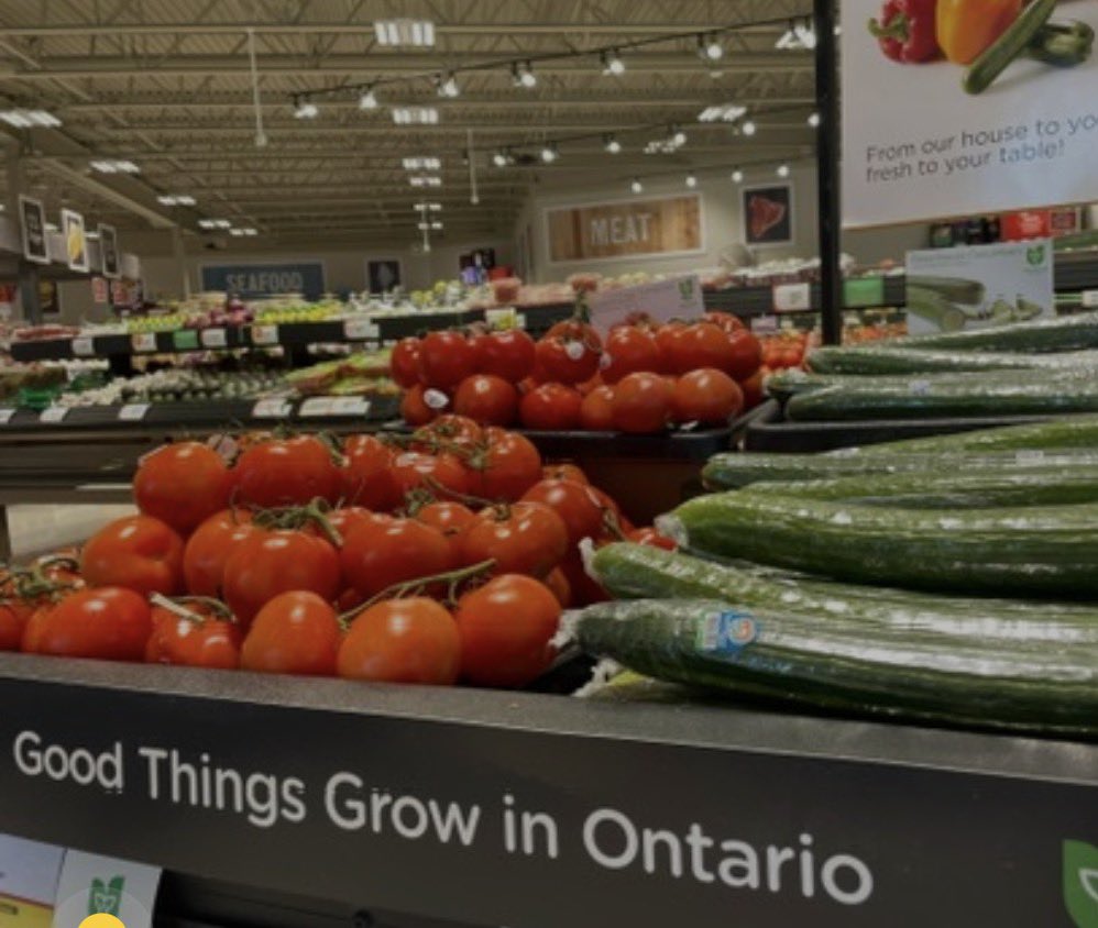 LisaThompsonPC's tweet photo. May #LocalFoodWeek serve as a reminder of the significance of buying locally produced food 52 weeks of the year! Thank you #Ontario farmers for all you do! https://t.co/IOxb9vB6ME