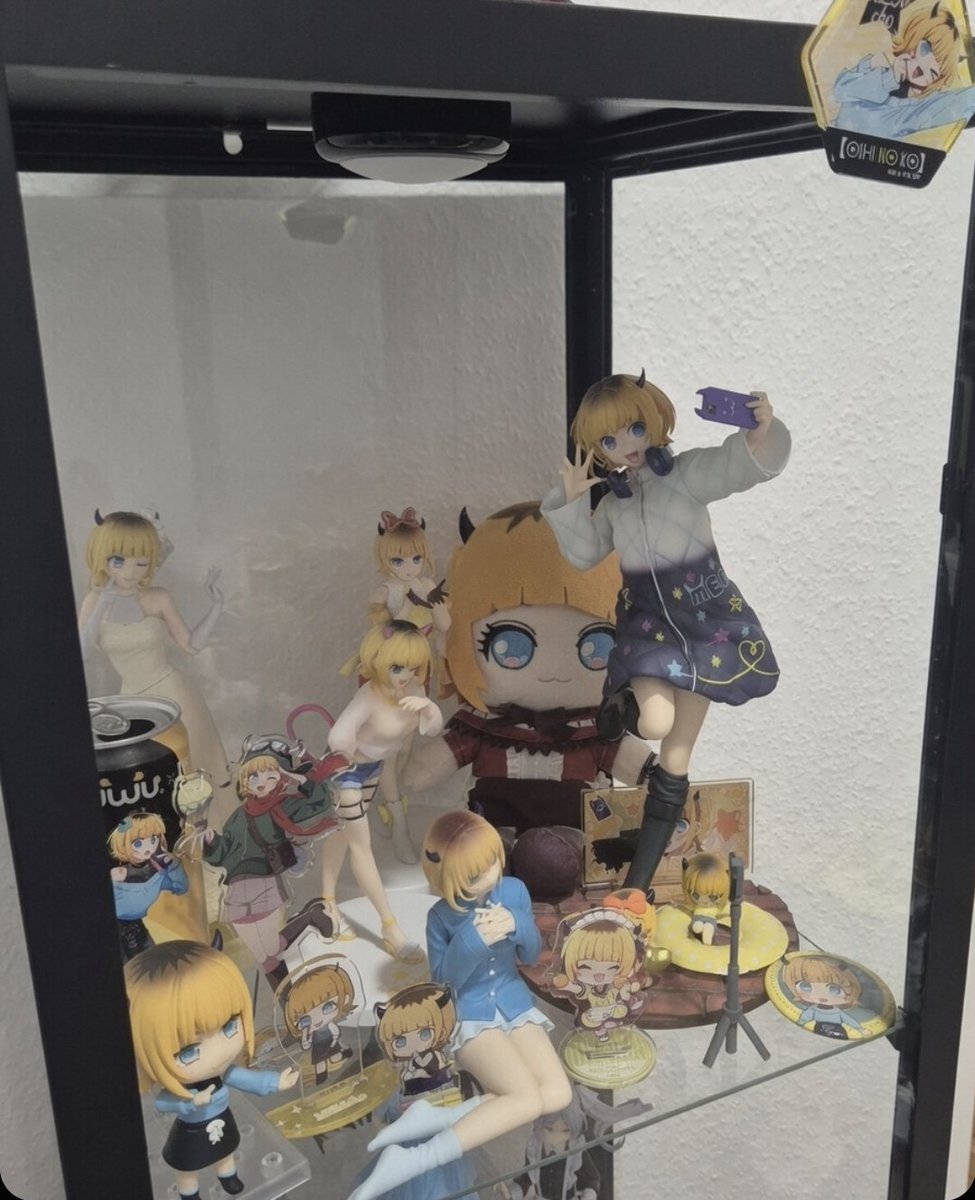 xSpaceRR's tweet photo. Just wanted to share my current collection of anime merch and figures - I need more Mem Cho stuff tho https://t.co/2AH0bh6DbN