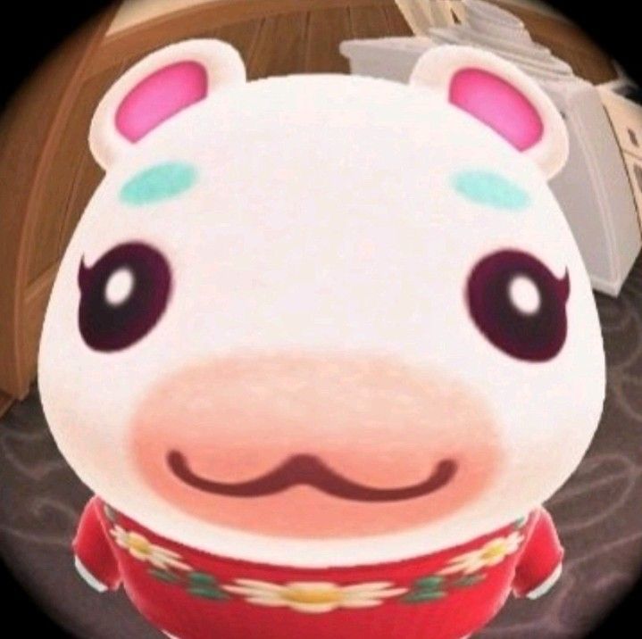 woS2rei's tweet photo. 뽀야미 왔어요 (՞o̴̶̷̤  ̫ o̴̶̷̤՞) https://t.co/hwanO9Aj7e