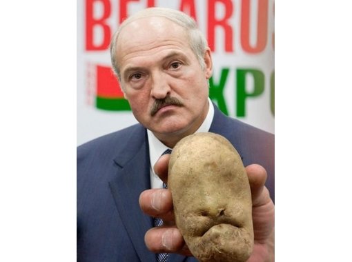 DM1959DM's tweet photo. @fucman65 Тай картопелька теж нічо https://t.co/d2bCkobNck