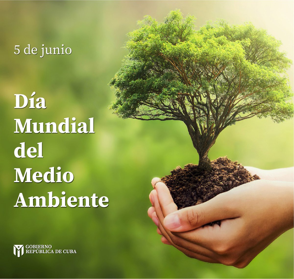 GobiernoCuba's tweet photo. 🌱| El desarrollo sostenible no es posible con las leyes ciegas del mercado que explotan los recursos naturales.

Es posible únicamente con una distribución justa de la riqueza, con cooperación internacional genuina y con la educación como herramienta de liberación ecológica. https://t.co/smopW4qZ80