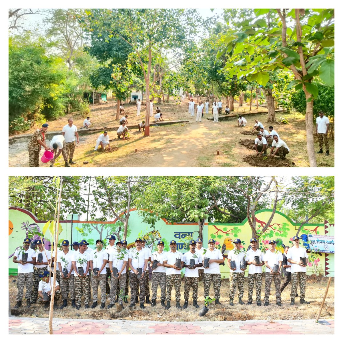 WSCRPF2016's tweet photo. On the occasion of #WorldEnvironment DAY, a tree plantation drive was organized under the aegis of WS CRPF. Officers and personnel participated in awareness campaigns and community initiatives promoting environmental conservation.CRPF reaffirms its commitment to a greener future. https://t.co/SFHXMzDzkD