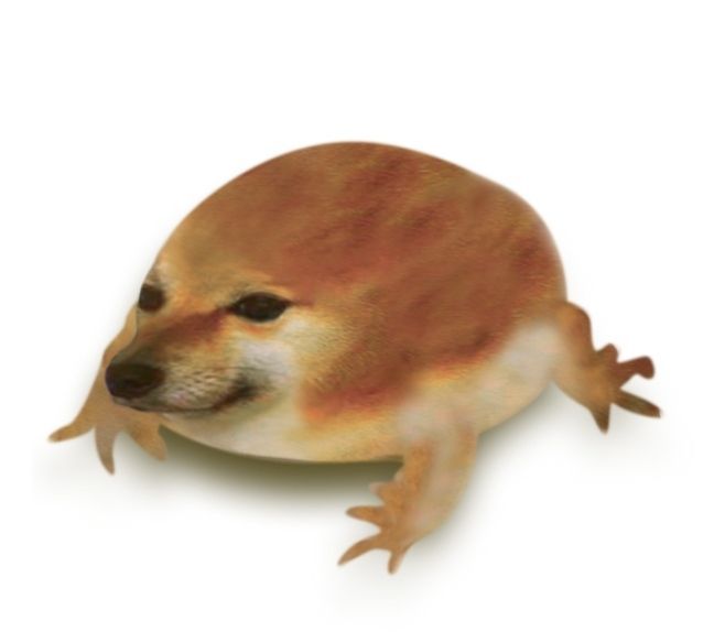 Bzzr_joj0 tweet media