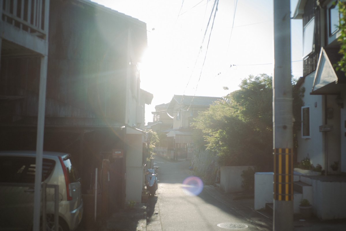 Watarudori's tweet photo. 初夏 https://t.co/4Yi5TLIjNw