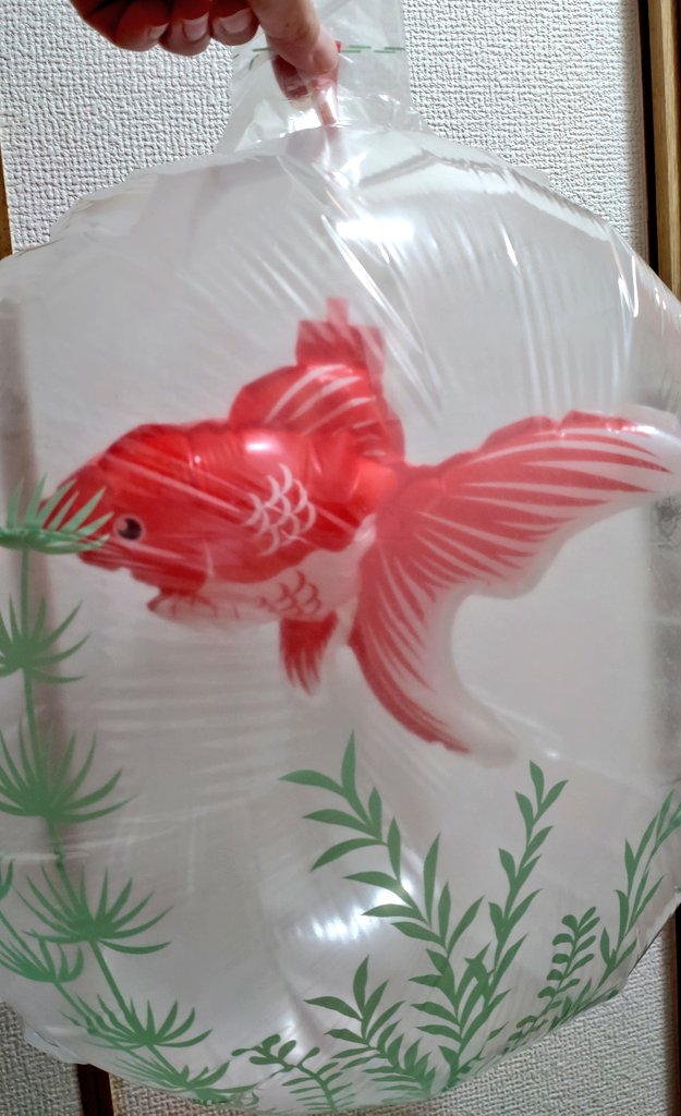 moriaka89's tweet photo. セリアに金魚玉風船売ってたからこれ持って宵山参戦したい
水こそ入ってないものの中の金魚も揺れるしほぼ描写通りの逸品です
#宵山万華鏡 https://t.co/nYNOwSfz2e