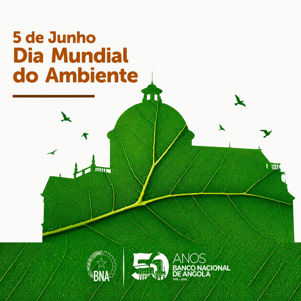 AngolaBanco's tweet photo. No Dia Mundial do Ambiente, o Banco Nacional de Angola reafirma o seu compromisso com a sustentabilidade, promovendo a integração da cultura de responsabilidade ambiental como instrumento essencial para a resiliência e estabilidade do sistema financeiro nacional. https://t.co/1sZsJNwYiZ