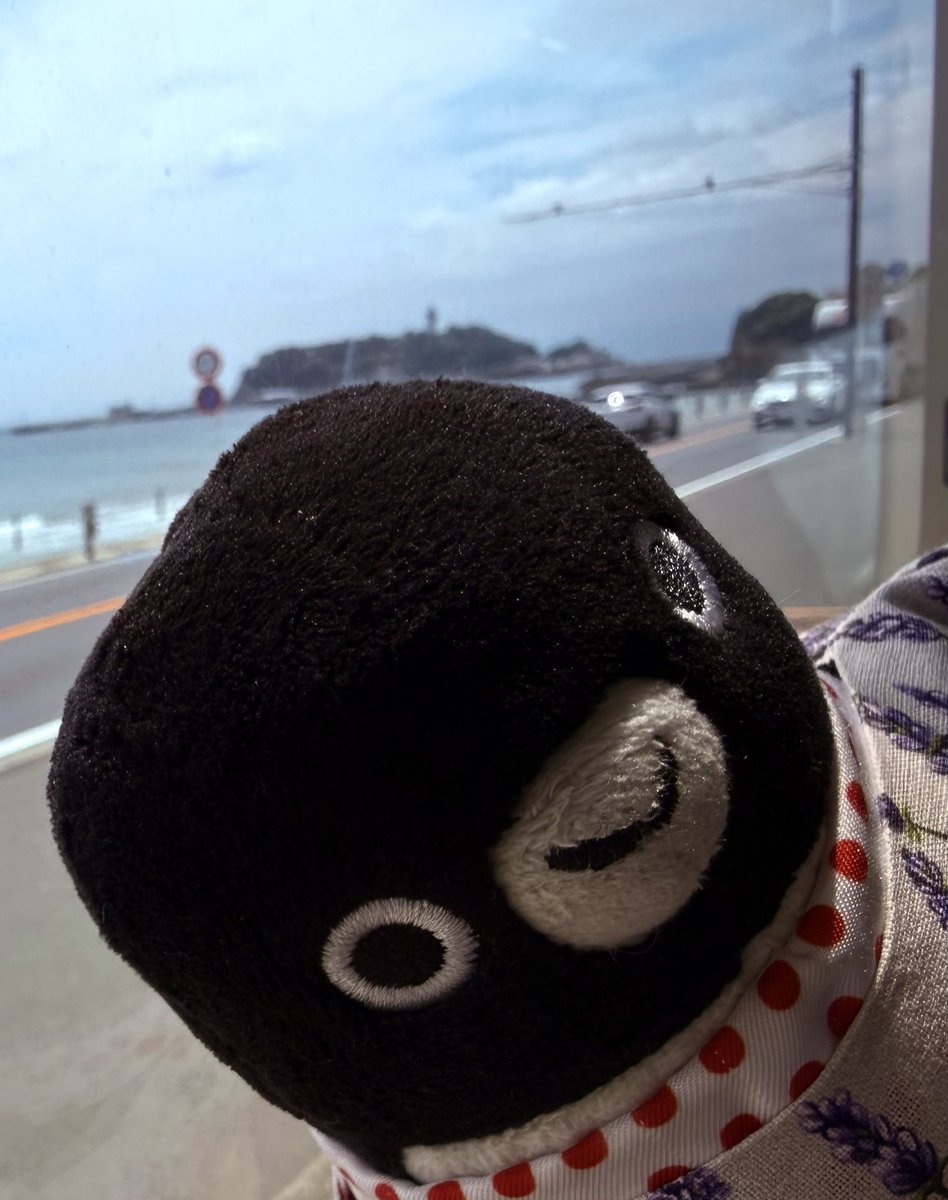 peko15mini's tweet photo. MINI子の点検待ってる間、湘南モノレール&amp;江ノ電に乗ってきたよ🚝🚃
モノレールはジェットコースターみたいなんだ🎢スリルい〜っぱい‼️江ノ電にて江の島を背にちょい悪風ペンちゃん😆🐧何を企んでる🤔
#湘南モノレール
#江ノ電 https://t.co/9fUalXWzoJ