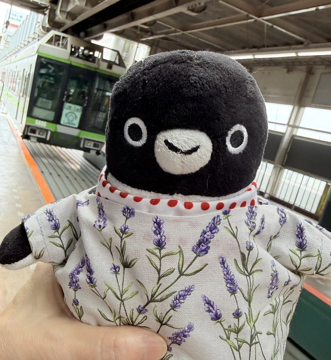 peko15mini's tweet photo. MINI子の点検待ってる間、湘南モノレール&amp;江ノ電に乗ってきたよ🚝🚃
モノレールはジェットコースターみたいなんだ🎢スリルい〜っぱい‼️江ノ電にて江の島を背にちょい悪風ペンちゃん😆🐧何を企んでる🤔
#湘南モノレール
#江ノ電 https://t.co/9fUalXWzoJ