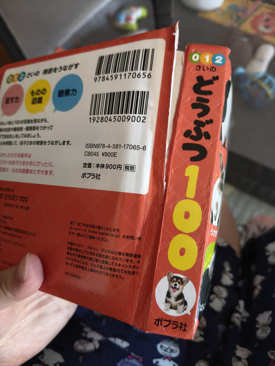 Does_japones's tweet photo. なんで…うちの子は...😭 https://t.co/vt4fM79ekL