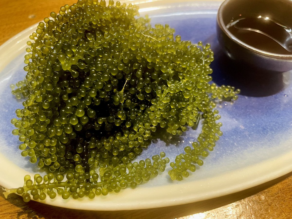 k_012134's tweet photo. 沖縄料理くわっちーさびら！！ https://t.co/mE5WAU939F