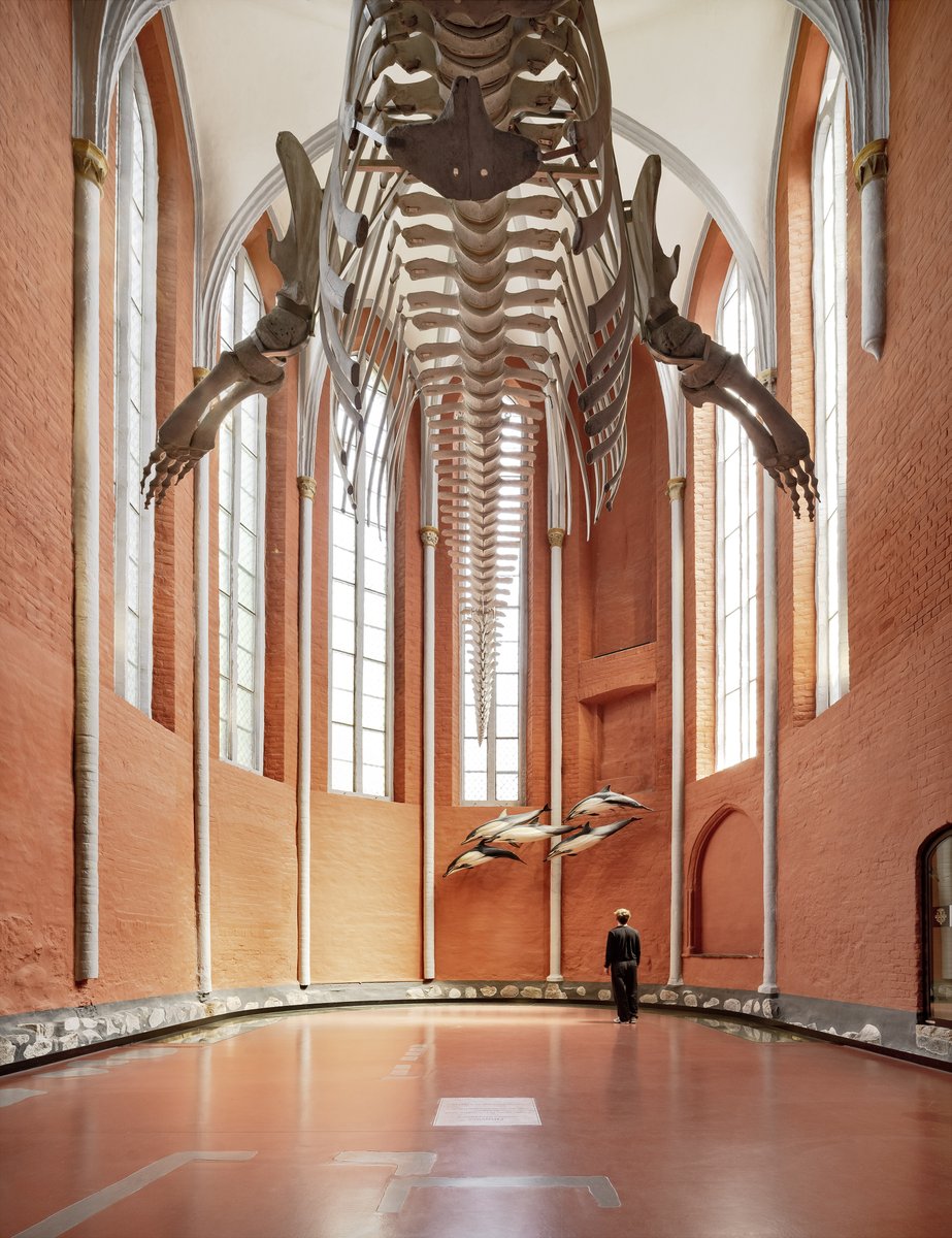 worldarchitects's tweet photo. #SelectedProject – Reichel Schlaier Architekten have expanded and renovated the German Oceanographic Museum in Stralsund, blending contemporary architecture with the historic St. Catherine's Monastery.
https://t.co/j9eoQNbpna
📸©Brigida González
#waofficial #OceanographicMuseum https://t.co/LCkuqyVLtj