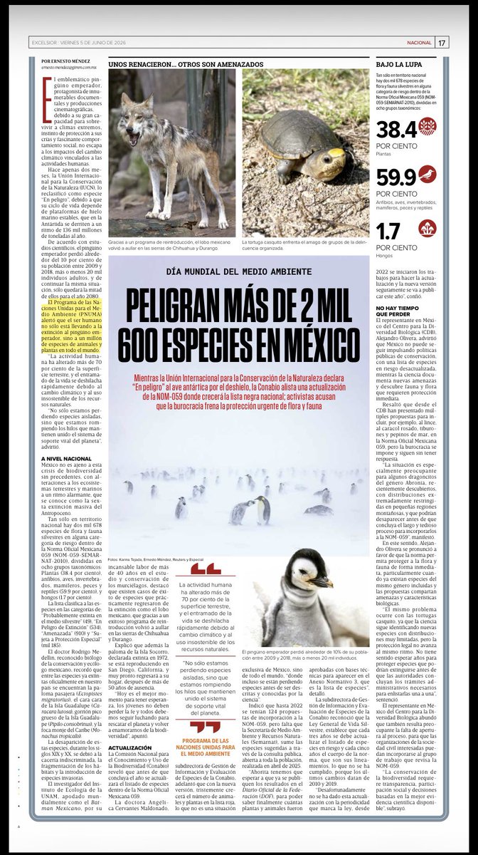ernesto_mendez's tweet photo. #DíaMundialDelMedioAmbiente 🌱
Peligran más de 2 mil 600 especies en México 
Este año actualización de listado en #NOM059 
Leer: https://t.co/vWtkhCV8Mo https://t.co/i5NbcG9pfz