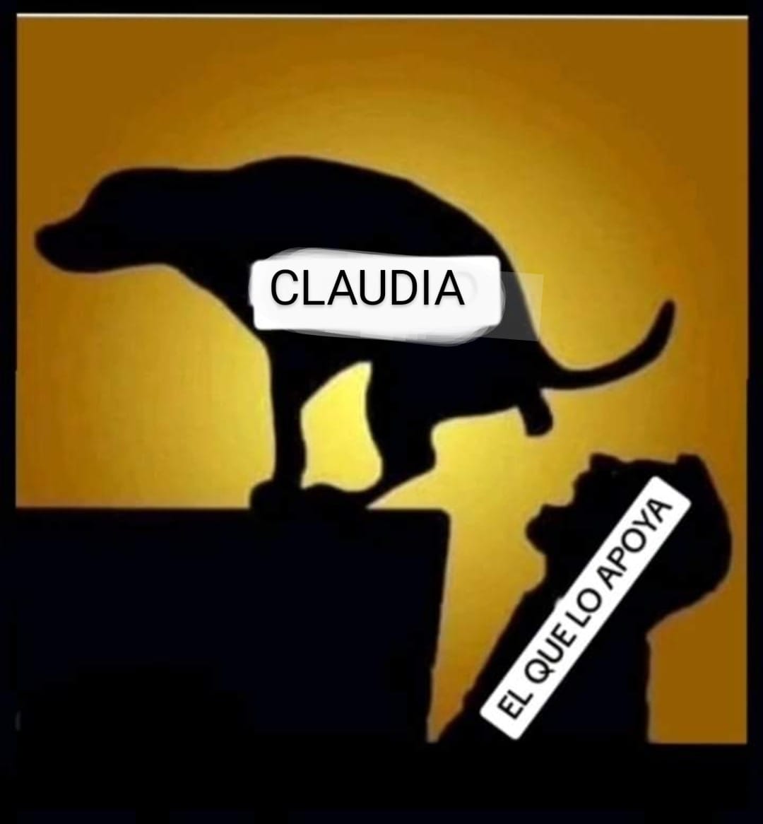 ROBERTOSOS95251's tweet photo. @SerchoCheco0777 @Adela_Micha https://t.co/wB1WVrVzjh