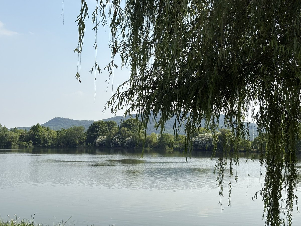 PaperFogg2007's tweet photo. 春夏之交。鲜花，树木，阳光与湖面
#福格在四季
当下应该是在天气完全炎热前最后能在户外活动的时候了🥹 https://t.co/JDPZavfyLL