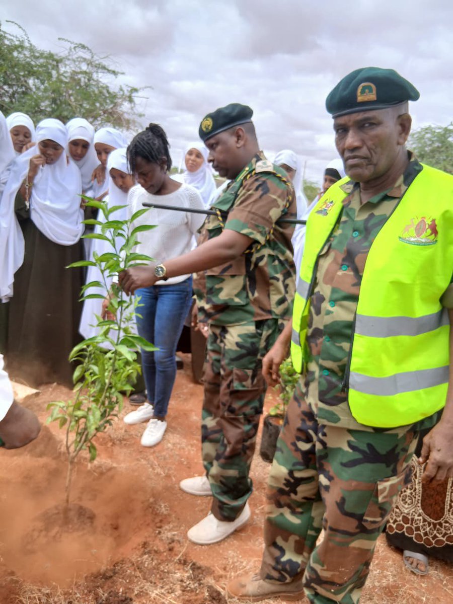 AFOSCKENYA's tweet photo. @AFOSCKENYA , Not all heroes wear caps some carry seedlings. Today, our community came together to plant trees and grow a healthier, greener future for generations to come. 
#TreePlanting #Sustainability #Kenya #RestoreNature #ActForEarth #GoGreen #Kenya #AFOSCKENYA #trending https://t.co/kIjJwgNBsA