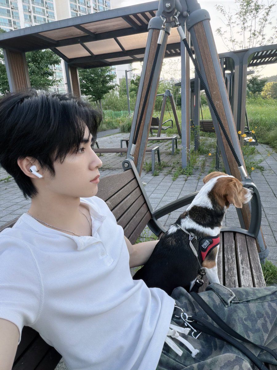 Bmo0117's tweet photo. 벨라 너무 믿음직스럽다 https://t.co/CaeaFvbk6v