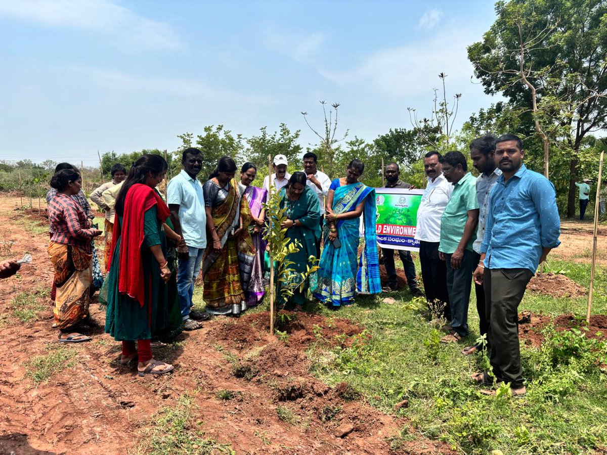 MCKyathanpally's tweet photo. Conducted the Plantation program at Kyathanpally Municipality on the occassion of #World_Environment_Day
@cdmatelangana @tksreedevi https://t.co/YjMBmvNMNv