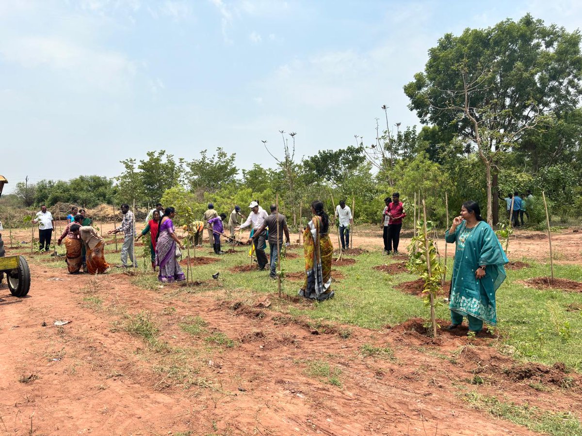 MCKyathanpally's tweet photo. Conducted the Plantation program at Kyathanpally Municipality on the occassion of #World_Environment_Day
@cdmatelangana @tksreedevi https://t.co/YjMBmvNMNv