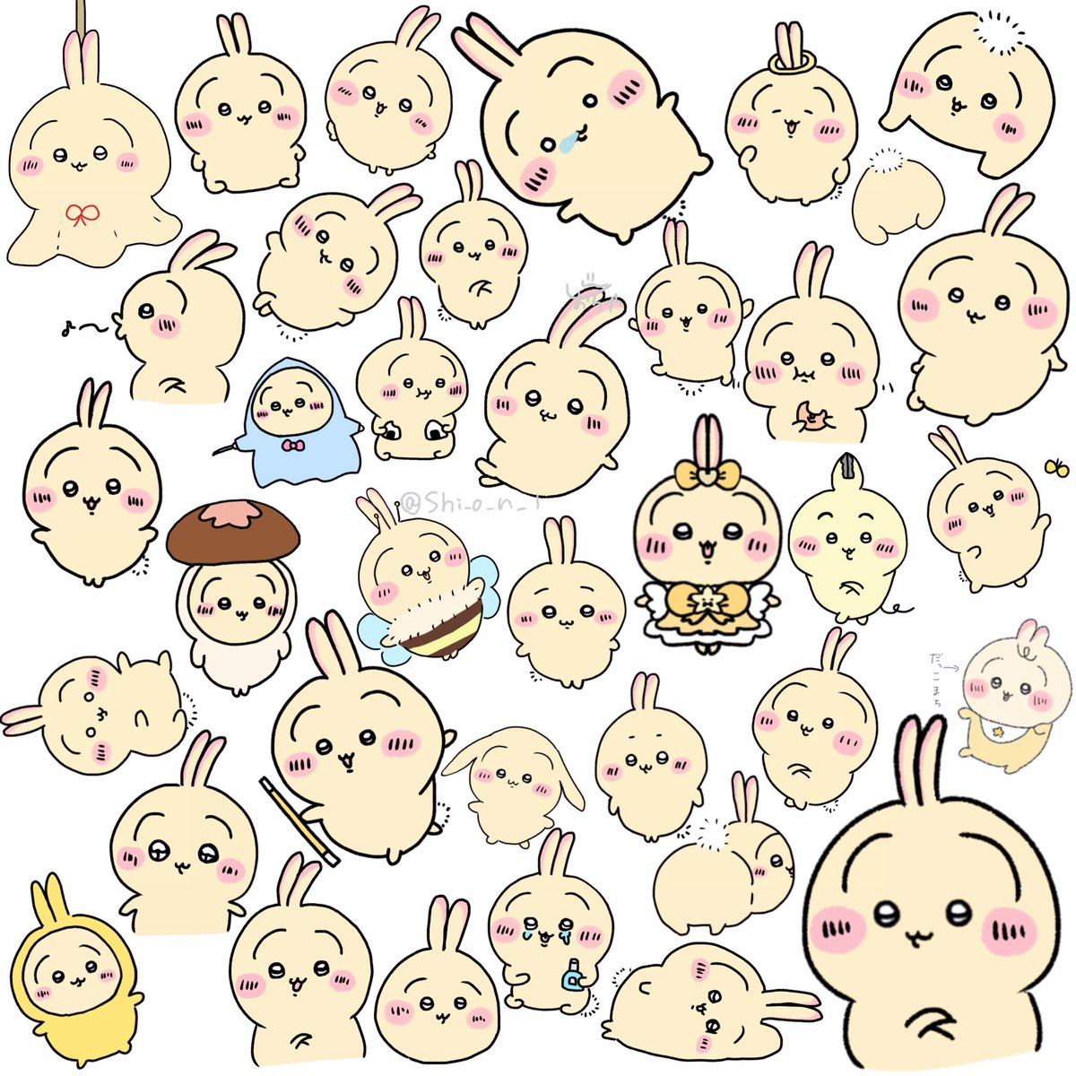shio_n_1's tweet photo. 🐰💛 https://t.co/pkn4vcFgUC