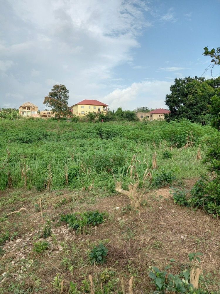 iamzioraa's tweet photo. I gifted myself a small birthday gift yesterday, A plot of land in one of the biggest city in the country, I don’t know what I want to do with it yet anyways. God did. 

Congratulations Victoria. https://t.co/35dC2FbulS