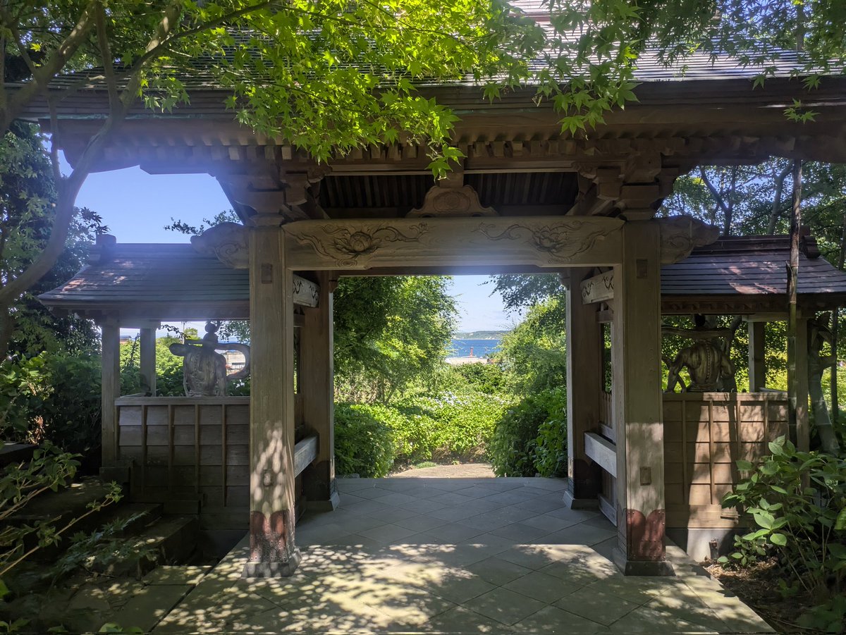 ht_1977's tweet photo. 雲昌寺@秋田県男鹿市

今はまだほとんど咲いてませんが、チャンスがあれば満開の紫陽花が咲き乱れるであろう数週間後にまた来たいと思います😅 https://t.co/cE0ewbyoOE