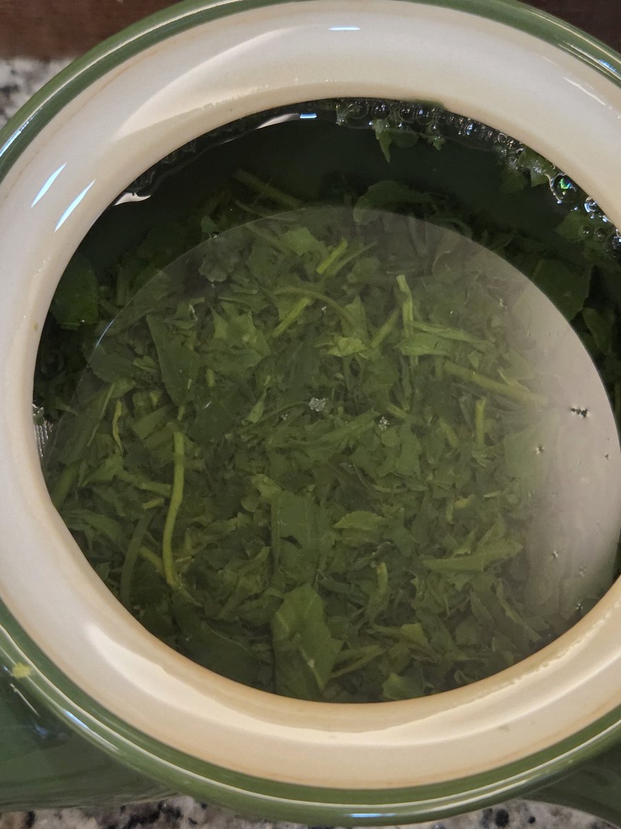 kayacamellia's tweet photo. tsuyuhikari kabusecha ~ koridashi brewing method (◍ ´꒳` ◍)🍵 https://t.co/VrHjPnb5wZ