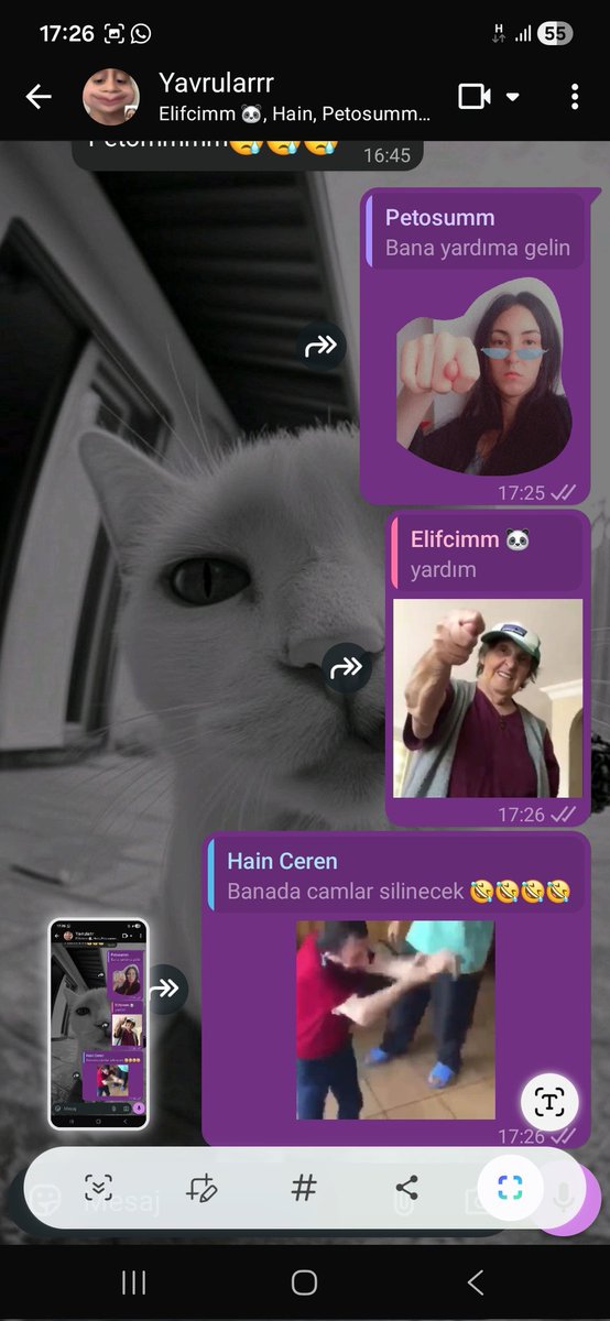canlipek's tweet photo. Üzgünüm cnm arkadaşlarım size yardım edemem https://t.co/N5OQ4z6qnH