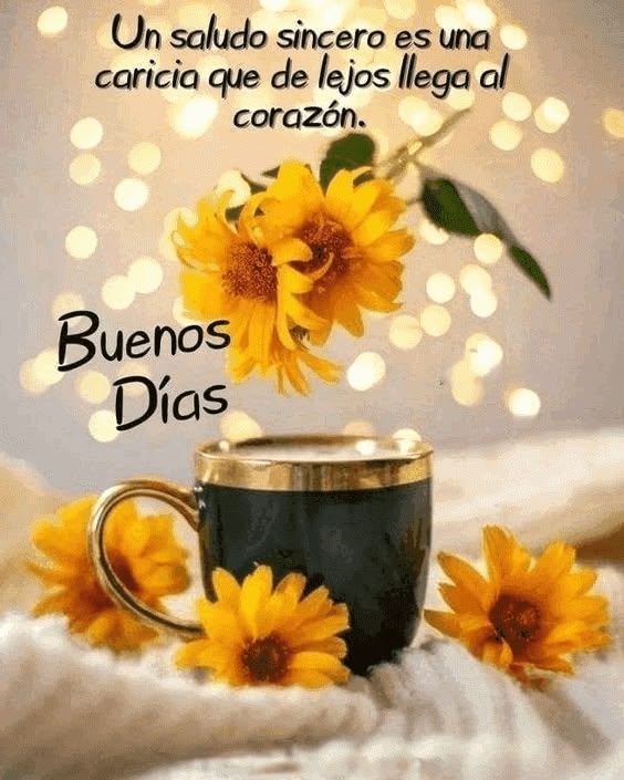 LCalladas's tweet photo. ¡Buen día mundo!
🙏❤️ https://t.co/0zwtGomMjM